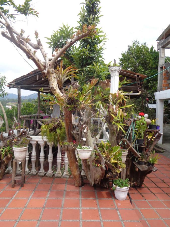 Hostal Loco Locombia San Agustín Exteriér fotografie